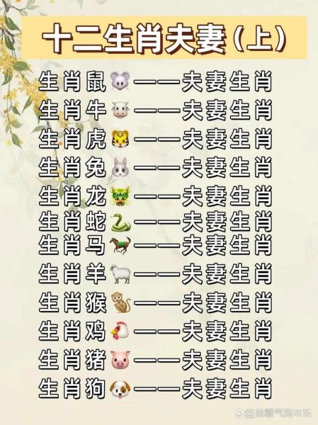 朋友生肖配对最佳属相（朋友生肖配对最佳属相攻略）