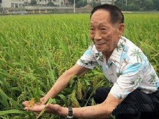 袁隆平生肖属相是（袁隆平生肖属相是什么）