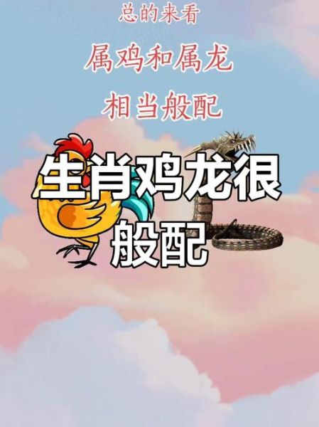 属鸡属相和那些生肖相合（属鸡和什么生肖最配）