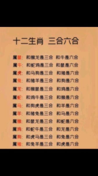 十二生肖什么属相合（生肖合不合对照表速查）