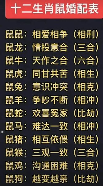 鼠年生肖配偶属相（鼠年十二生肖配对最佳属相）