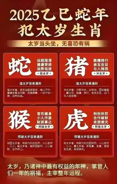 生肖属相排表（最新2025生肖属相排表顺序👀）