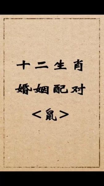 生肖鼠哪个属相最好（生肖鼠最佳婚配属相大揭秘）