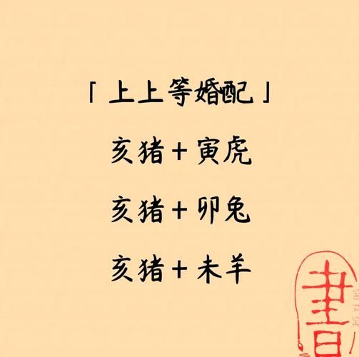 生肖猪适合什么属相(属猪最佳婚配属相全指南)