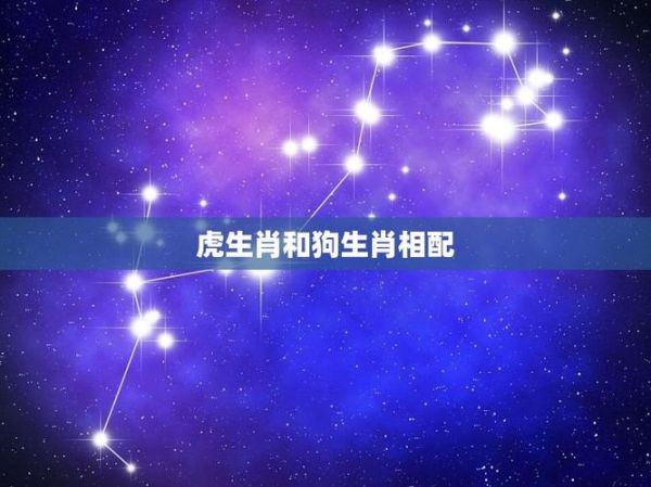 什么生肖和老虎同属相（和老虎同属相是什么生肖）
