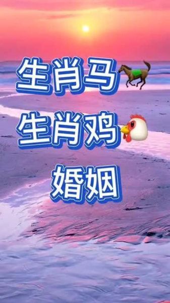 生肖马跟什么属相好（生肖马最配属相是哪些）