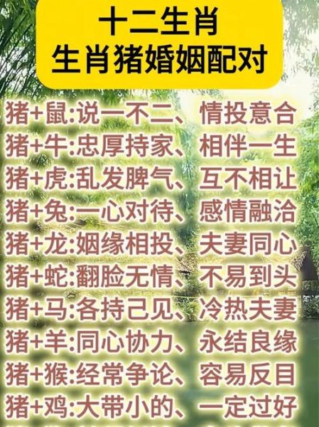 猪生肖的最佳配偶属相