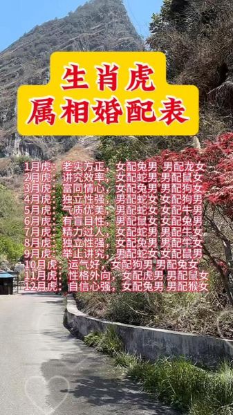 生肖虎配偶最好属相（生肖虎配偶最好属相是什么）