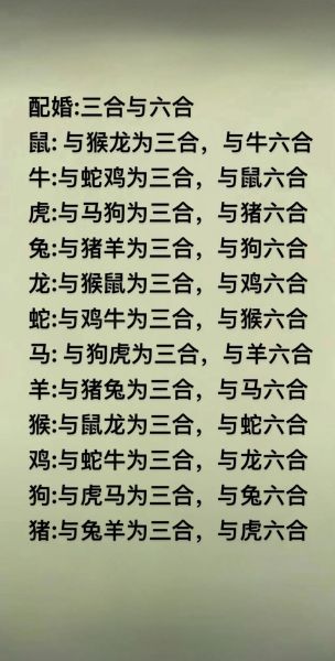 生肖属相鸡和鼠（生肖鸡和鼠的婚姻合不合）