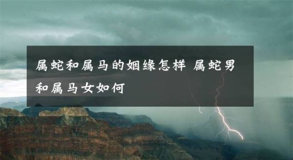 生肖马和蛇属相和吗