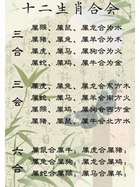 属相与生肖的区别（属相和生肖一个意思吗？）