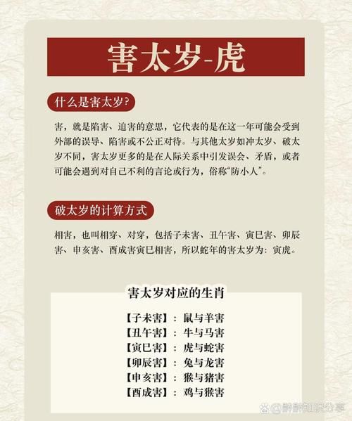 王太太什么生肖属相（王太太生肖属相揭秘）