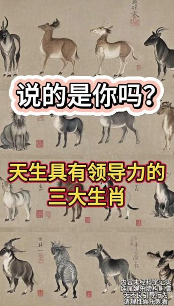 谋字最佳生肖属相（谋字代表哪个生肖？教你快速看懂）