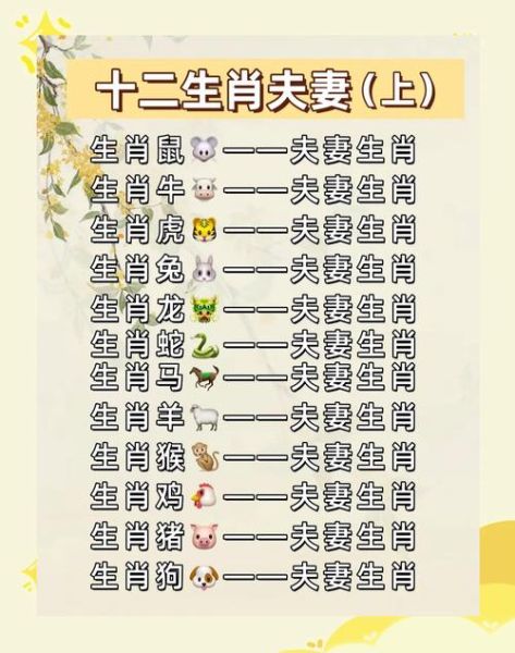 生肖属相匹配直播（生肖属相直播配对教程）