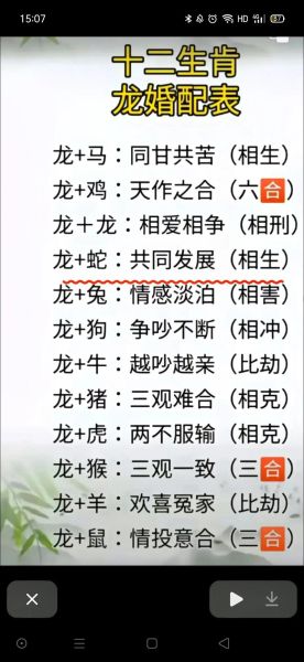 属相的最佳配偶生肖（属龙的最佳配偶生肖）