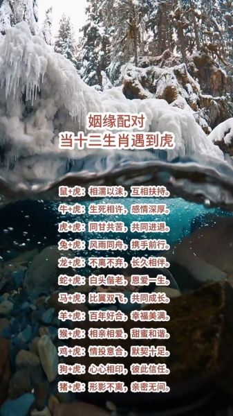 虎属相与哪些生肖相合（虎属相与哪些生肖相合最旺）