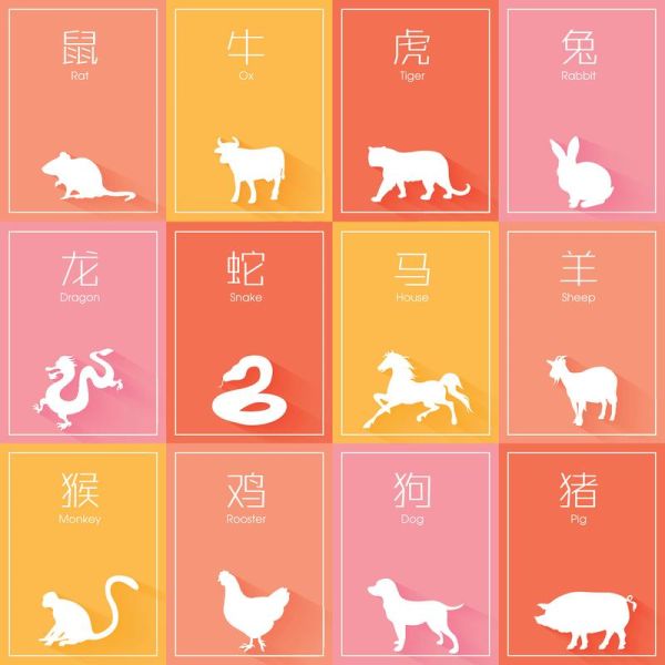 生肖四大属相（生肖四大属相是哪几个）