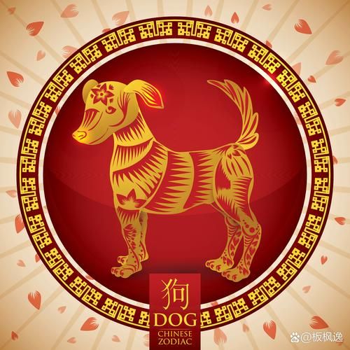 十二生肖狗配什么属相（属狗最旺的三个属相配对🤝）
