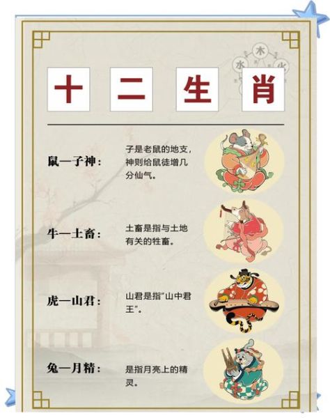 猜属相的是什么生肖（猜属相的是什么生肖 新手也能秒懂）