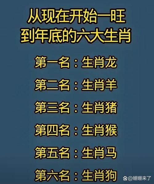 大生肖都有哪些属相（大生肖都有哪些属相？新手一看就懂）