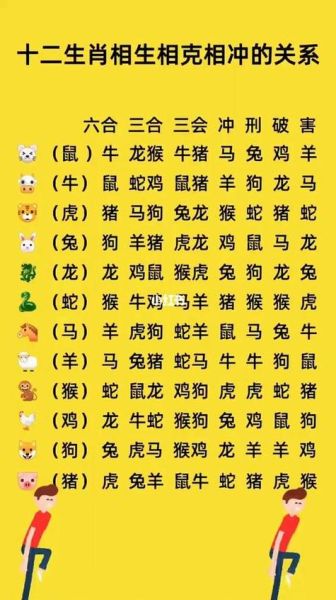 生肖属相男表（生肖属相男表新手速查指南）