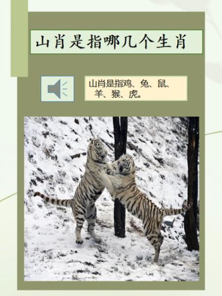 虎宝父母生肖属相（虎宝父母什么属相最旺🔥）