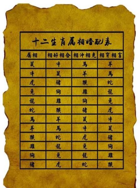 生肖同位对应的属相（生肖同位对应的属相怎么查？）