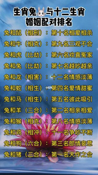 生肖鼠什么属相（生肖鼠和什么属相最合得来）