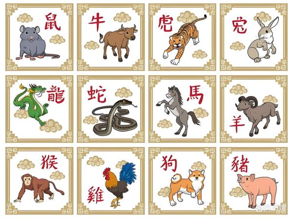 生肖半路出家的属相（半路出家的生肖有哪些？新手入门指南）