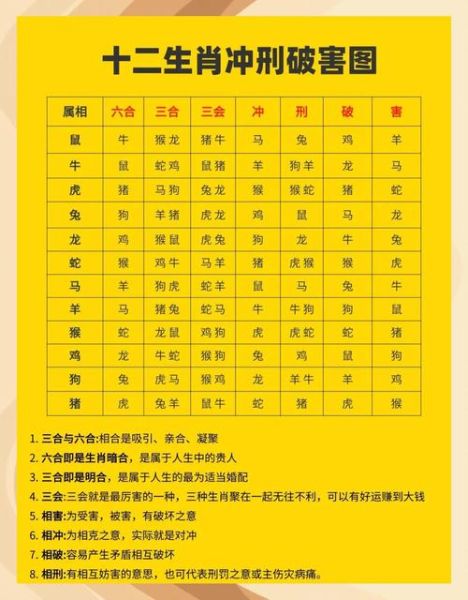 33属什么生肖属相（今年33岁属啥生肖？小白一文秒懂）