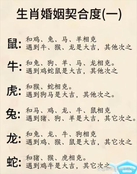 属相东山再起的生肖（东山再起的六个生肖排名新手速查）