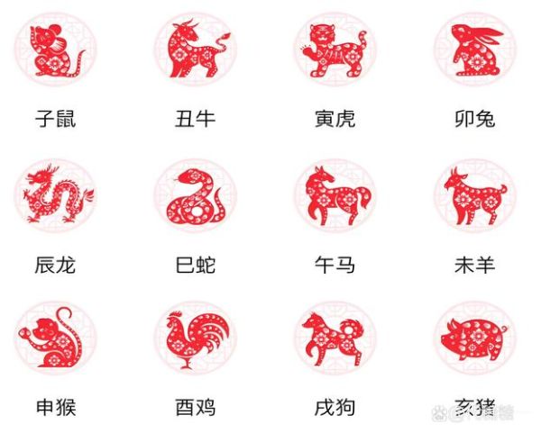 属相东山再起的生肖（东山再起的六个生肖排名新手速查）