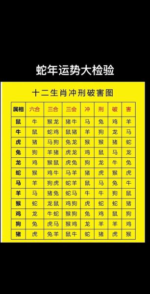 如何找到属相相合的生肖（属相合不合查询表速查版）