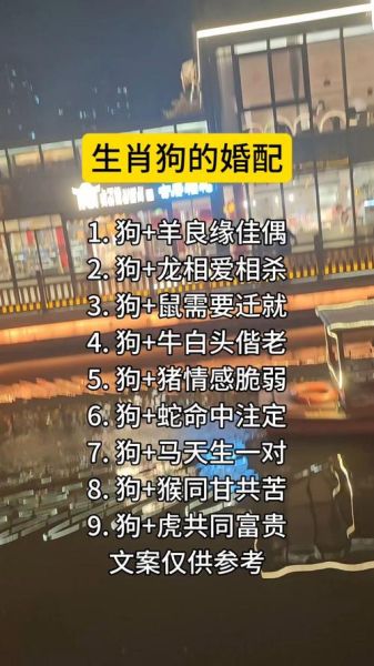 属相狗的生肖配（生肖狗最合婚的属相是什么）