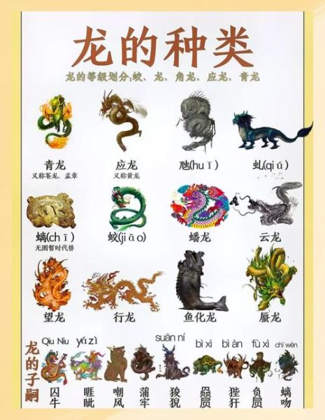 生肖属相注意事项（2024龙年属龙的要注意什么）