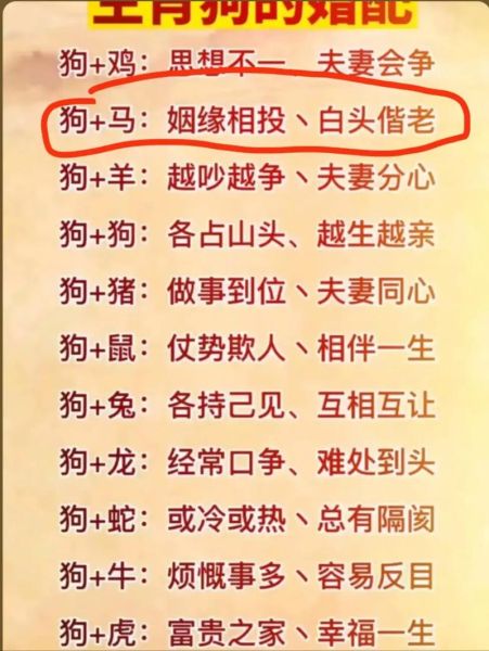 属相狗不能配的生肖（属狗不能配什么属相）