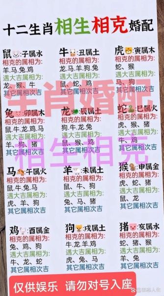 鼠生肖合作属相（鼠生肖合作属相最佳搭档是谁）