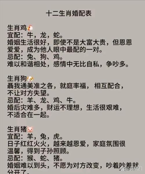 接亲看不看生肖属相