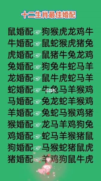生肖属相速配大全（生肖配对查询表新人一看就会）