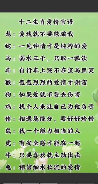 周璞属什么生肖属相