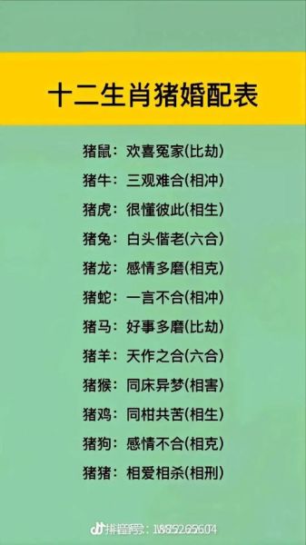 生肖猪的姻缘属相（生肖猪最佳姻缘配对排行）