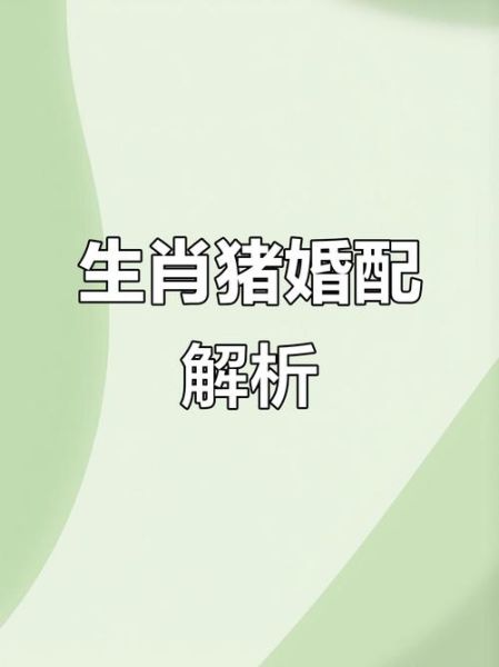 生肖猪的姻缘属相（生肖猪最佳姻缘配对排行）