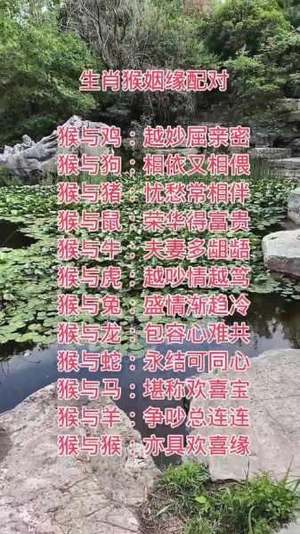 生肖猴属相婚配表大全（生肖猴最匹配的生肖婚配表）