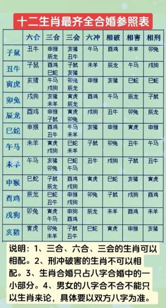 16属相是什么生肖（16属相是什么生肖一次看懂）