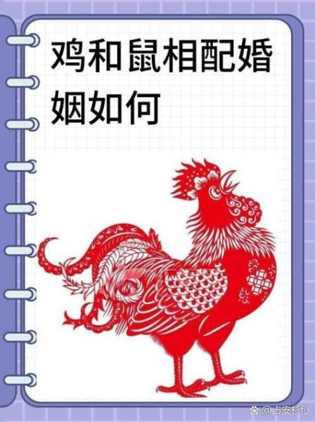 鼠的对应生肖属相（鼠的对应生肖属相是什么）