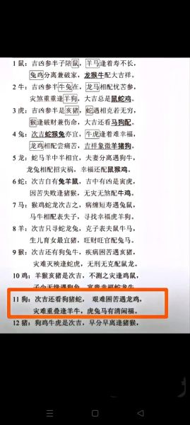 94年属相生肖