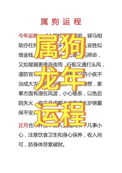 狗年十二生肖属相运势（狗年出生2024年运势最旺的三大财运方向）