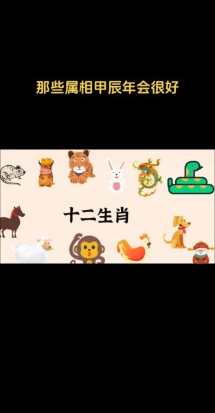 甲辰属什么生肖属相（甲辰属什么生肖属相？）