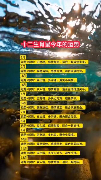 十二生肖鼠年属相运势（鼠年属鼠的人运势怎样）