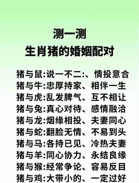 生肖配对中哪些属相相合（哪些属相相合？生肖速配全攻略）